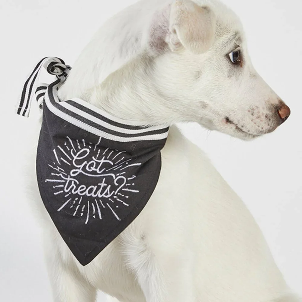 Pet Bandana - Got Treats?/NWT